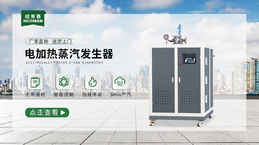 對電加熱蒸汽發生器的結構進行分析